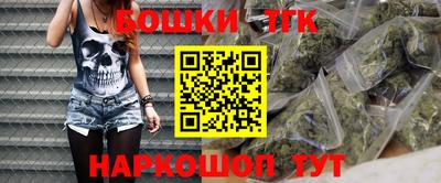 МДПВ Славгород