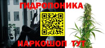 МДПВ Славгород