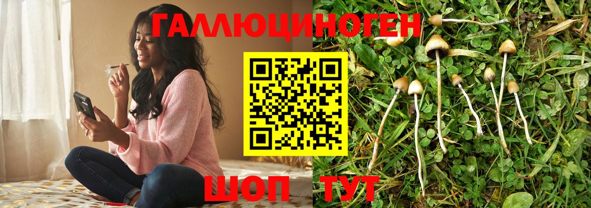 Галлюциногенные грибы мицелий  Вход с VPN  Свободный 