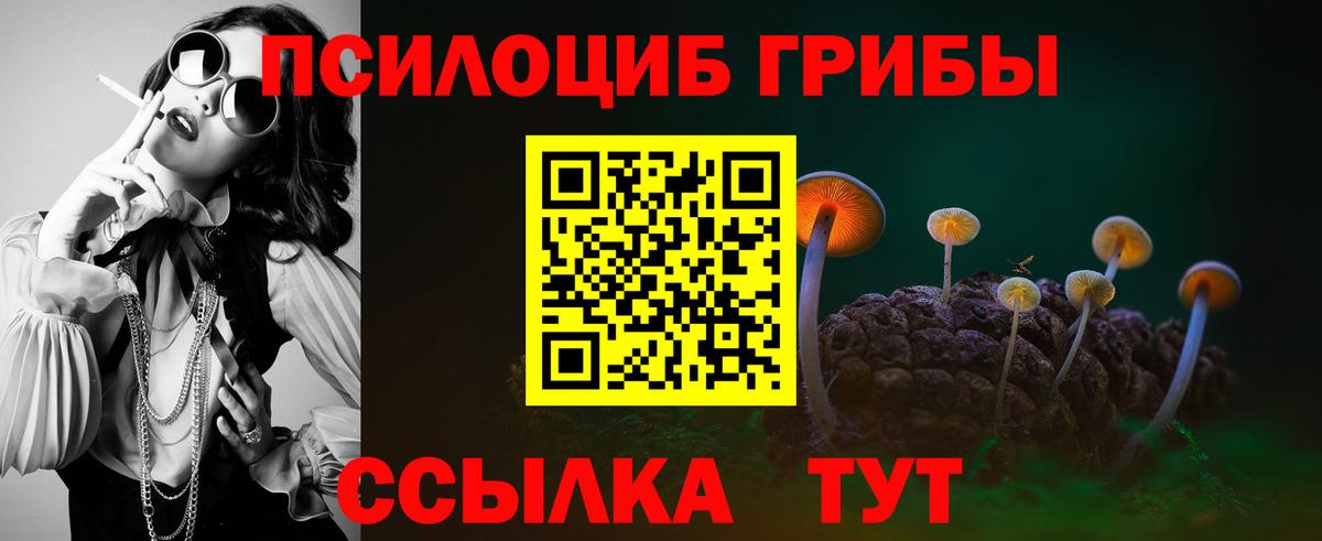 Свободный  A PVP СОЛЬ кристаллы  Кокаин  Вход с VPN  Марихуана  МЕФ кристаллы  Как найти наркотики? 